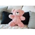 thumbnail image 2 of World's Softest Plush - Pink Bear, 2 of 4