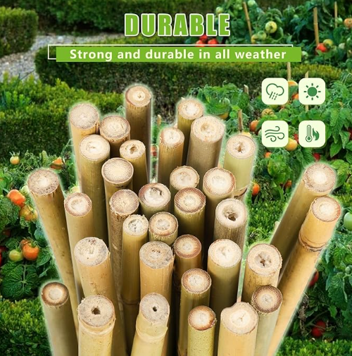 50Pcs Natural Bamboo Plant Stake 7FT, Sturdy Bamboo Poles, Durable Plant Bamboo Stake, Garden Climbing Plant Bracket