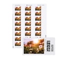 thumbnail image 3 of Dandelion NetStamps 120 ct - Blank Postage Labels - NOT Forever Stamps, 3 of 5