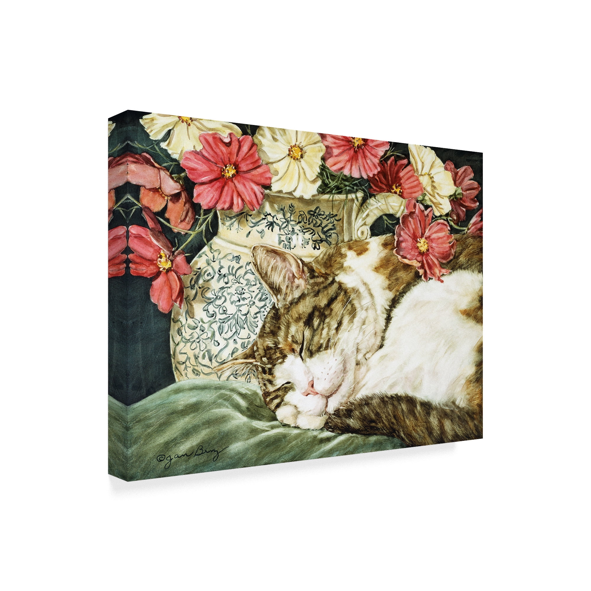 Trademark Fine Art 'Cosmos Dreams' Canvas Art by Jan Benz