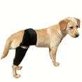 SHZHRUKUNSHM Adjustable Comfortable Dog Hip and Knee Brace Support