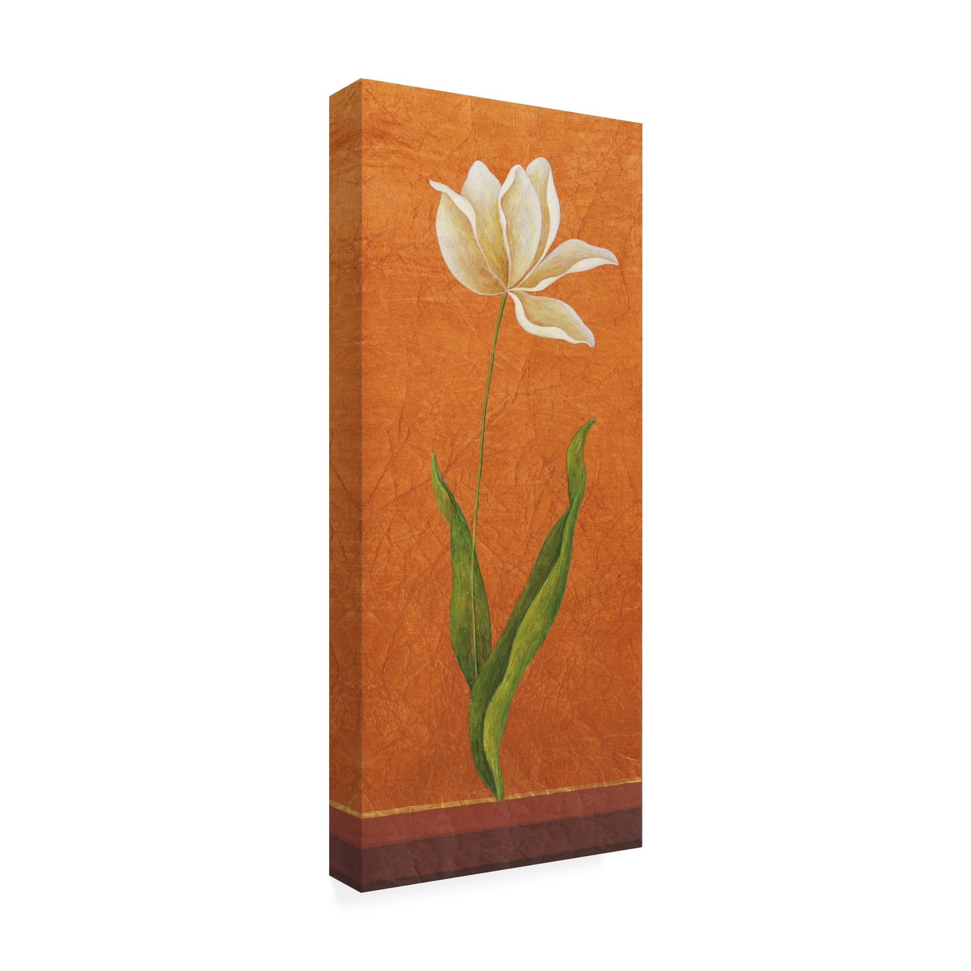 Trademark Fine Art 'Single White Flower On Orange' Canvas Art by Pablo Esteban