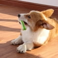 thumbnail image 5 of Pet Toy Training Exquisite Durable Bone Shape Pet Dog Teeth Grinding Interactive Toy, 5 of 5