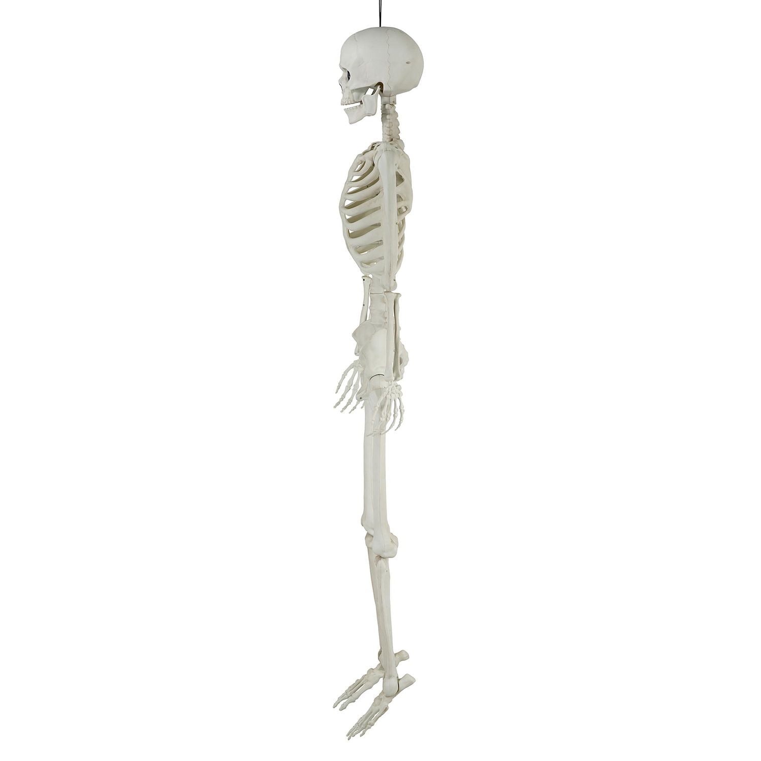 Halloween Deco Way to Celebrate 60inch Pose-able Skeleton Non-function