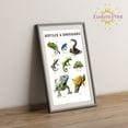 thumbnail image 2 of Eastern Print Educational Reptiles & Amphibians Poster, Toddler Activity Toys Decor, Preschool Poster, Kids Study Material Wall Art for Nursery, Classroom, Bedroom, Pre School Kids, UNFRAMED 8x12, 2 of 4