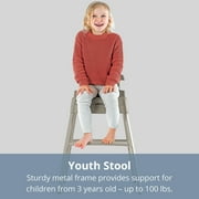 Chicco Stack Hi-Lo 6-in-1 Multi-Use High Chair, Booster and Stool with Tray - Sand (Beige), New