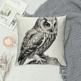 thumbnail image 2 of JEUXUS  Decorative Throw Pillow Case Cushion Covers for Sofa, Elegant Eagle Hawk Owl Series Square Throw Pillowcase, 2 of 5