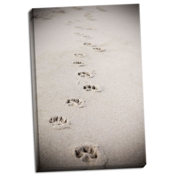 Gango Home Decor Contemporary Paw Prints In Sand by Karyn Millet (Ready to Hang); One 16x24in Hand-Stretched Canvas