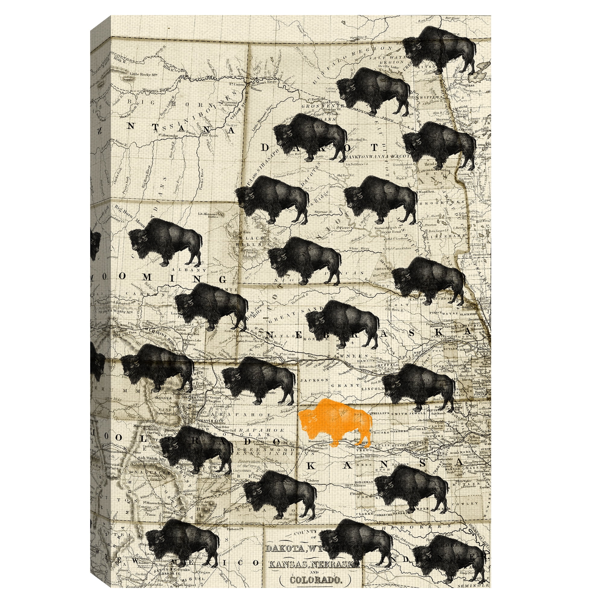 Masterpiece Art Gallery Where The Buffalo Roam Midwest Map By GI ArtLab Canvas Art Print 24" x 36"