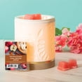 thumbnail image 3 of Better Homes and Gardens Chai Spiced Apple Scented Wax Melts, 2.5oz (1-Pack), 3 of 7