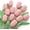 Pink, variant on Dalrosia 12PCS Crochet Tulip Flower - Handmade Knitted Yarn Flowers, Graduation Flower Woven Flowers, Completed Crochet Flowers