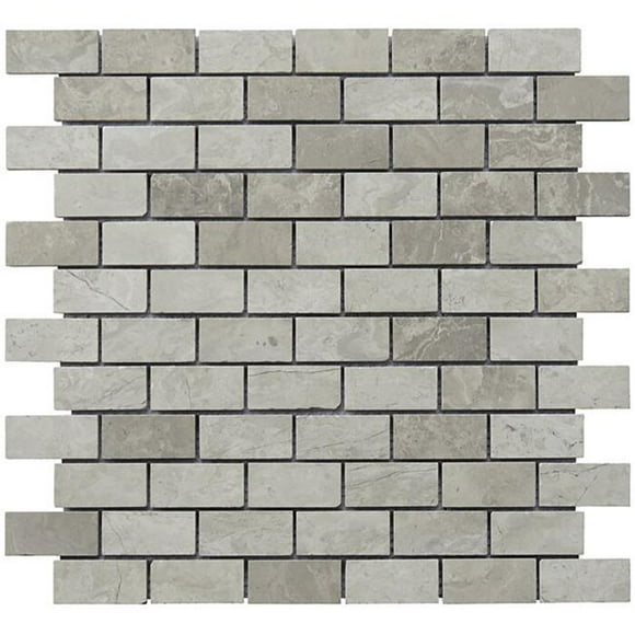 Intrend Tile NS021-C 1 x 2 Po. Mosaïque Motif Brique Mini Calcaire - Gris