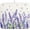 Purple Lavender, variant on Purple Lavender Dish Drying Mat for Kitchen Counter Spring Summer Flower Floral Dishes Drainer Mats Absorbent Microfiber Dish Drying Pad Washable Dish Draining Mat Extra Large 18x24 Inch