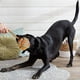 thumbnail image 2 of Juguetes de Cuerda Youngever Multicolor para Perros XL Grandes, 2 of 4
