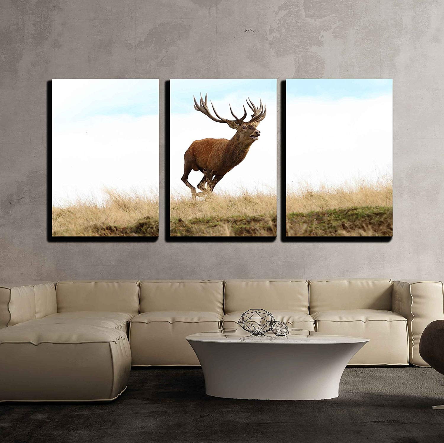 the running room red deer