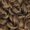OM3027, variant on Mane Concept Brown Sugar SwitchUp Human Hair Style Mix Glueless Half Wig Detachable Bang - BSSU107 SWITCH UP 07