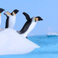 thumbnail image 6 of Ruanlalo 4/6Pcs Mini Penguin Sea Lion Snowflake Ornament Fairy Garden Bonsai DIY Decor, 6 of 6