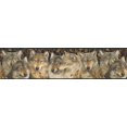 thumbnail image 1 of Animal Wallpaper Border MRL2403, 1 of 1
