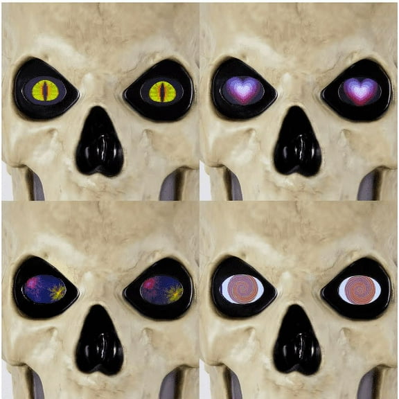 12 ft. Skelly Eye Kit - 8 Function Home Accents Holiday