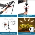 thumbnail image 2 of grow lights for indoor plants LED Grow Lights for Indoor Plants, plant light 4-Head Full Spectrum Lamp with Adjustable Tripod Stand, 2 of 6