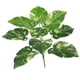 thumbnail image 1 of Hojas artificiales Flores artificiales Hojas de plátano Plantas artificiales decorativas para la decoración para hogar de Punto blanco, 1 of 9