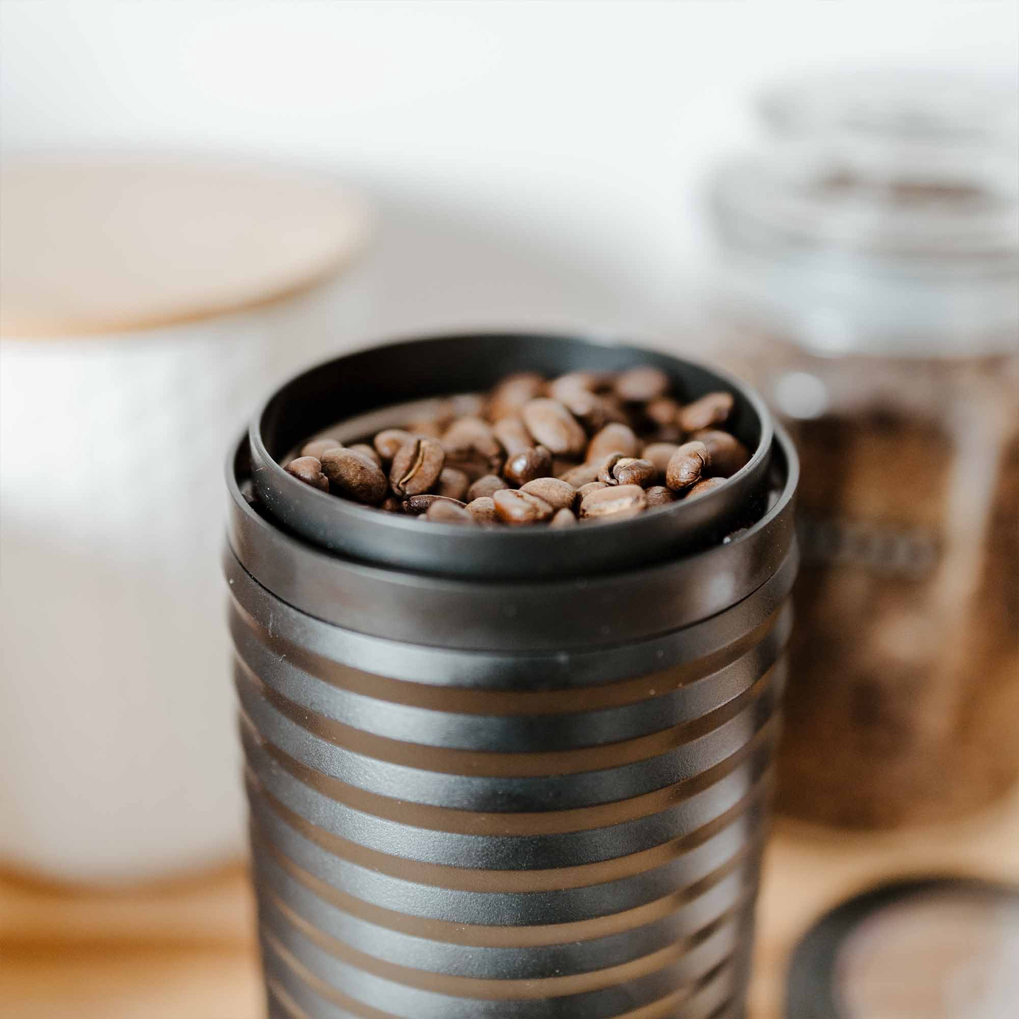 GROSCHE BREMEN Blade Electric Coffee Grinder, Stainless Steel Electric Grinder with easy storage, 180 Watts High Power Motor