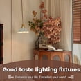 thumbnail image 7 of Oyisen Plug in Pendant Light, Silver Pendant Light Fixtures Two Ways Switch, Adjustable 13ft Light Cord Hanging Pendant Light for Kitchen Bedroom Restaurant 2 Pack, 7 of 7