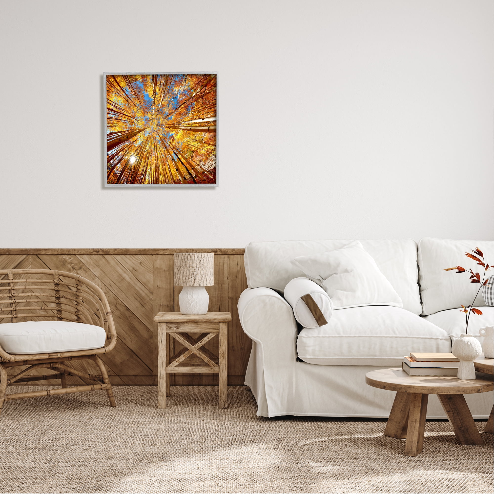 Stupell Industries Colorado Autumn Trees Nature Photography Gray Framed Art Print Wall Art, 24 x 24