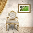 thumbnail image 3 of Popcorn 14x10 Gold Ornate Wood Framed with Double Matting Museum Art Print Titled - Agua Fria National Monument, 3 of 4