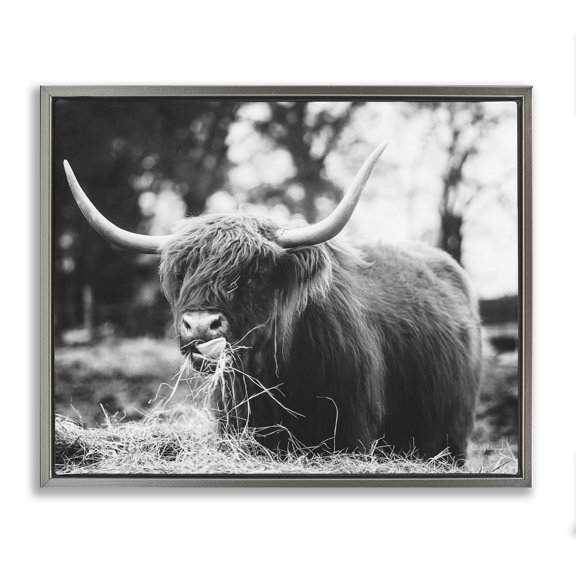 Stupell Industries Farmhouse Highland Cattle Tongue Lick Grass Gray Floating Frame Canvas Art, 21 x 17, by Dakota Diener