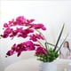 thumbnail image 2 of Simulación de una Sola Rama 8 Orquídeas Pequeñas Decoración Interior Flores de Simulación Flores Falsas de Plástico Flores Artesanales Azul ANGGREK Otros, 2 of 5