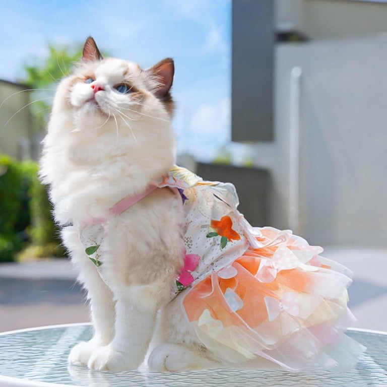 holiday cat dress Christmas Cat Dress