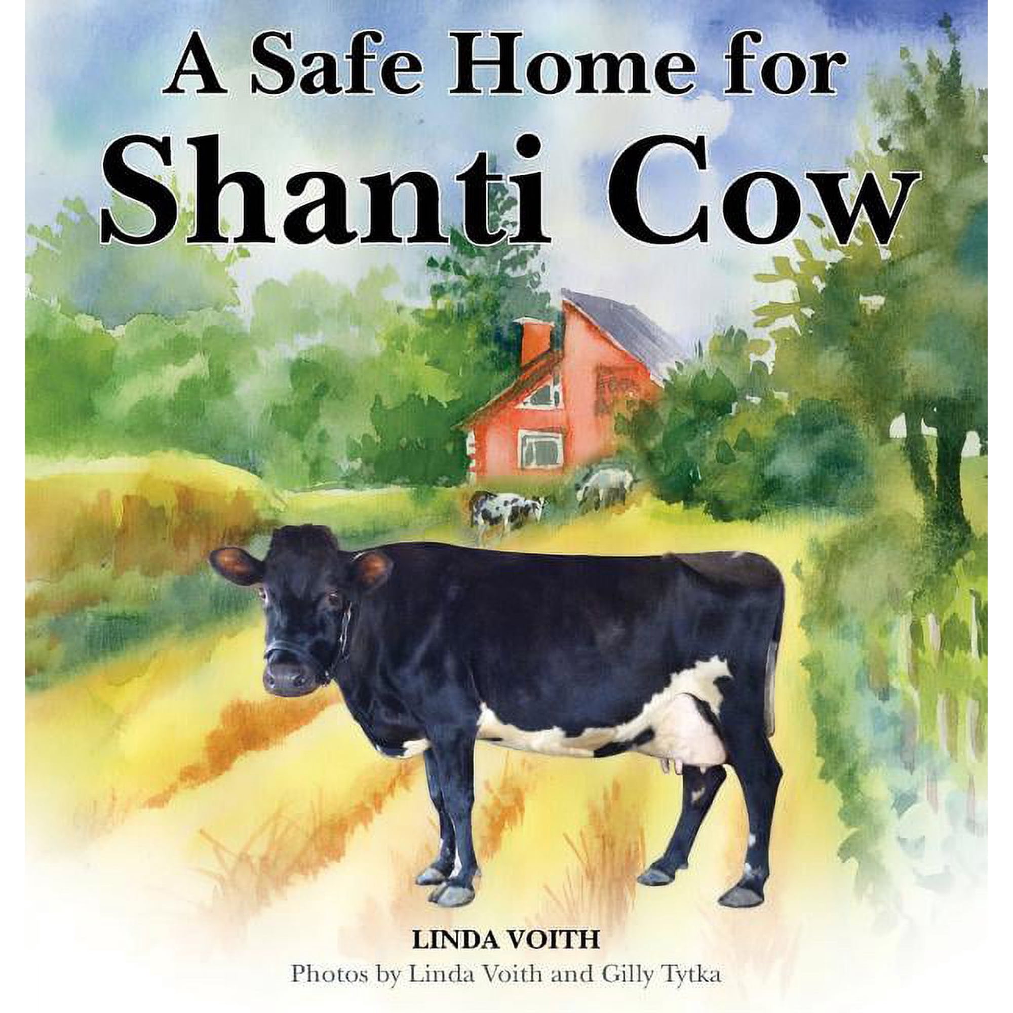 A Safe Home for Shanti Cow (Hardcover)