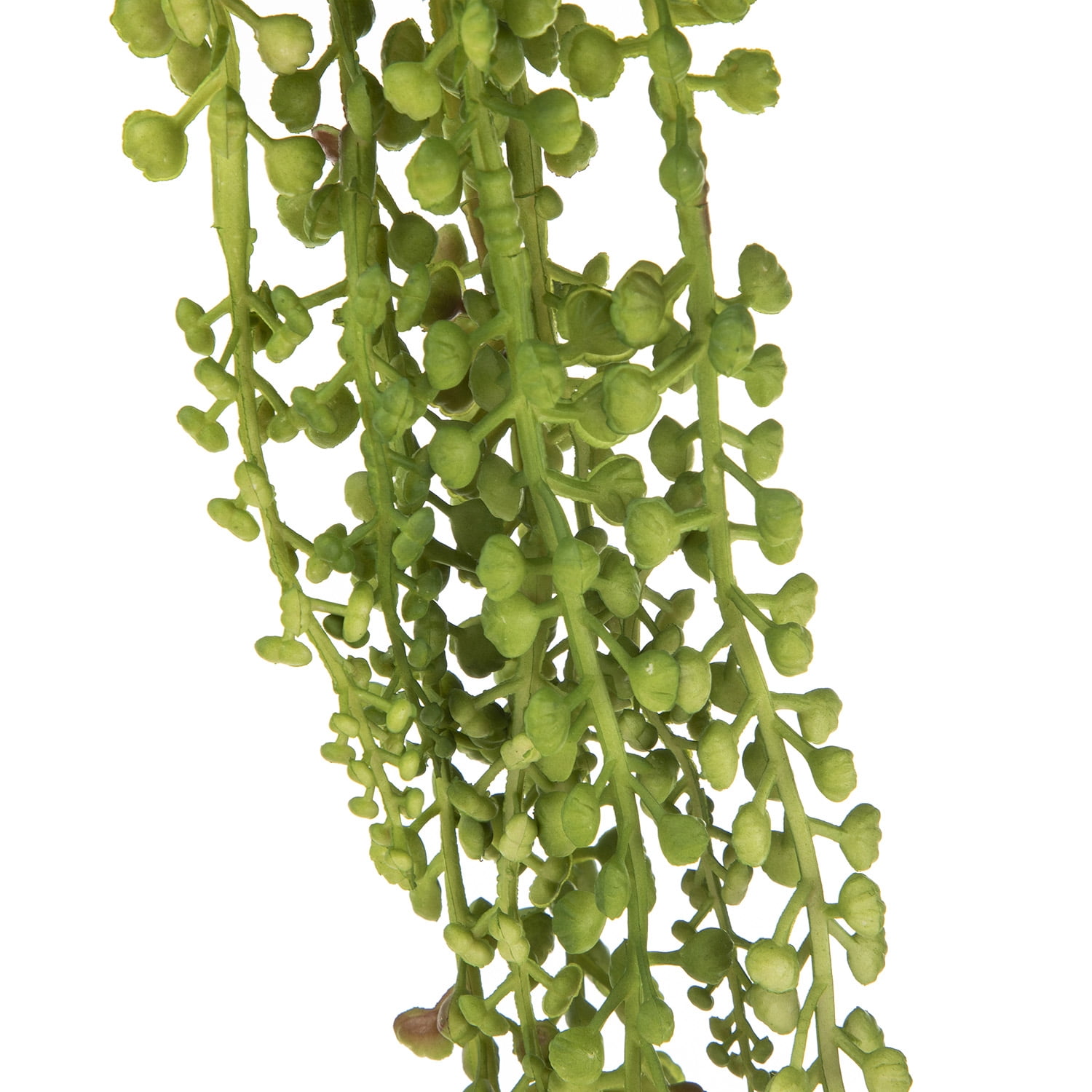 Mainstays 24" Artificial String of Pearls Succulent Pick, Variegated Green