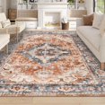 thumbnail image 1 of Vintage Area Rug x Washable Living Room Rug Indoor Print Accent Rugs for Bedroom Distressed Thin Throw Rugs Carpet for Living Room Kitchen Entryway, 1 of 7