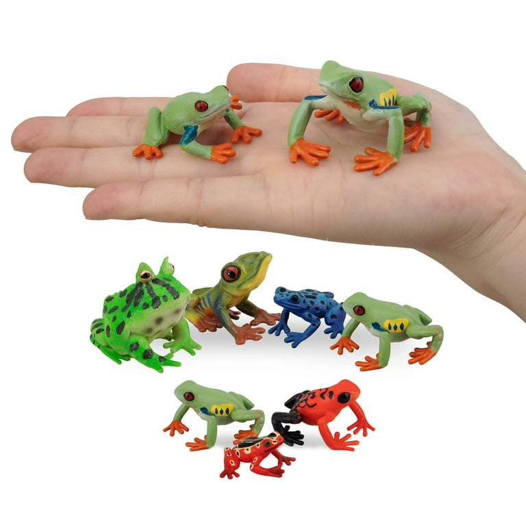 Toymany 10PCS Frog Toy Figures, Plastic Rainforest Woodland Animals Toy  Frogs Set with Realistic Poison Dart Frog, Cake Topper Party Favor Garden