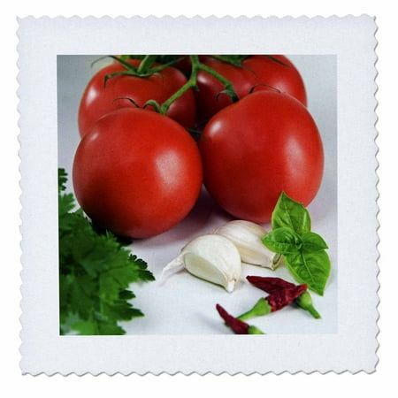 3dRose Italy, Cuisines, ingredients for tomato sauce - EU16 NTO0106 - Nico Tondini - Quilt Square, 8 by