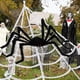 thumbnail image 5 of [Araña Negra 50CM Individual 50g] Araña Halloween Araña Aterradora Piel Suave Negra Accesorios Araña Grandes Realistas, 5 of 9