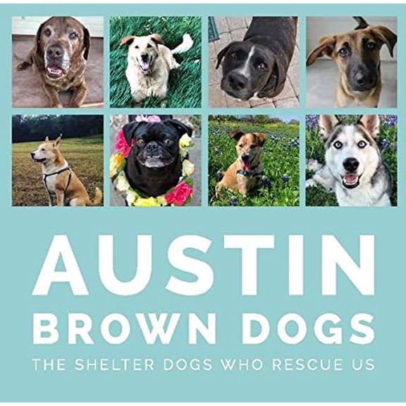 Pre-Owned Austin Brown Dogs: The Shelter Dogs Who Rescue Us, 9781951317034, 1951317033, Paperback,