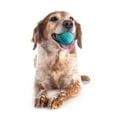thumbnail image 3 of Playology Dog Toys | Dental Chew Ball For Senior Dogs, Peanut Butter Scented Toy - Medium, 3 of 6