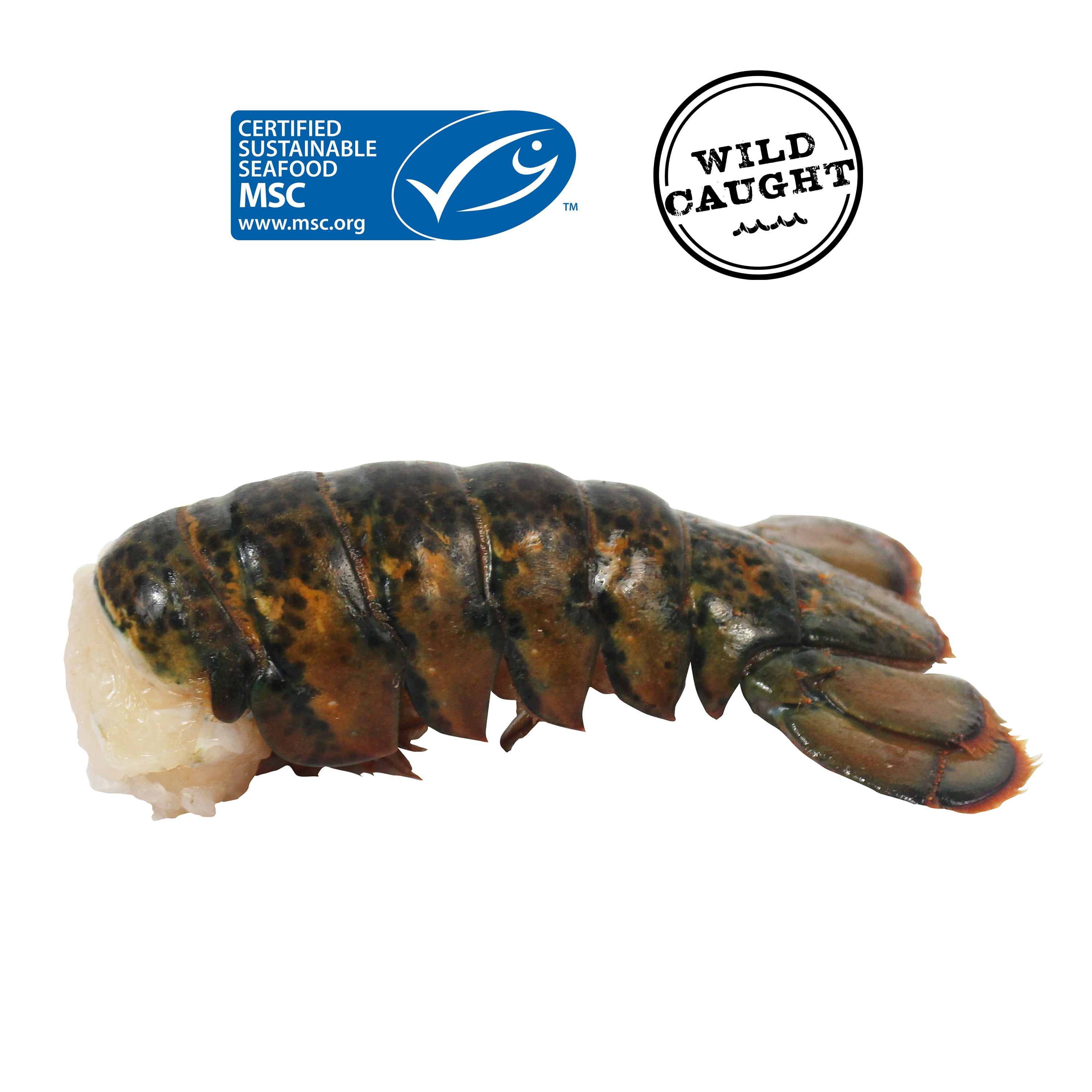 Marketside Frozen Wild Caught Cold Water Lobster Tails with Butter, 9 oz Box Contains lobster, milk.