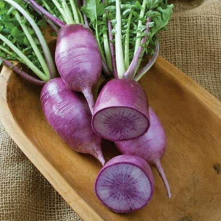 Purple Korean Radish Seeds for Planting - 100  Seeds - Rare Garden Vegetable Seeds