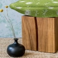 thumbnail image 3 of Dragonfly Fluffy Throw Pillow Cushion Cover, Sketch Style Dandelion Flower Petals Spring Beauty Nature Blossom Image, Rectangle Accent Pillow Case, 26" x 16", Lime Green Cream, by Ambesonne, 3 of 5
