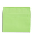 Staples Brights Greeting Card Envelopes, Assorted Colors, Postcard Size