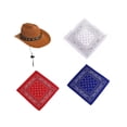 thumbnail image 1 of PORCHA GOOSE COMPTER Halloween Cowboy Gat para césped al aire libre patio de la estatua 4pcs, 1 of 8