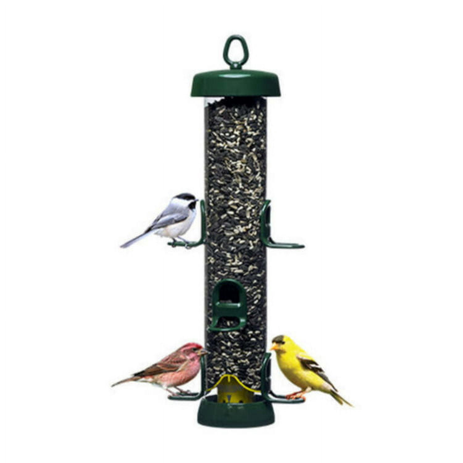 Brome Tube Solution 200 3.4 Pound Detachable Cover Polycarbonate Tube 6 Seed Ports Bird Feeder