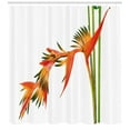 thumbnail image 3 of Ambesonne Floral Shower Curtain, Exotic Flower Branch, 69"Wx84"L, Green Orange, 3 of 3