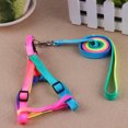 thumbnail image 2 of Pet Walking Leash Harness Set Outdoor Pet Walking Colorful Nylon Adjustable Harness Pull Strap Kit, 2 of 10