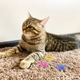thumbnail image 3 of MERRYHAPY 36Pcs Lightweight Rubber Cat Springs Toys for Active Play and Furniture , Pet Entertainment, 3 of 8