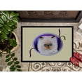 thumbnail image 3 of Carolines Treasures SS8020MAT Paillasson Intérieur & Extérieur Chat 18 x 27 Po., 3 of 4